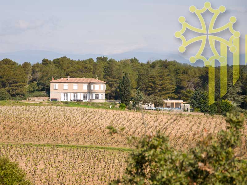À vendre 1 500 000 € - Ancien château viticole de luxe  situé à Montbrun des Corbières (11700 - Aude)